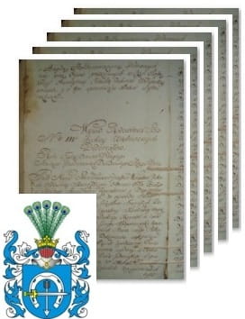 Przykładowe zdjęcie wywodu rodowitości szlacheckiej z 1802 roku, stron 5.jpg