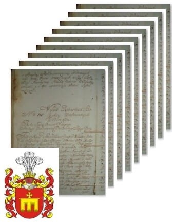 Przykładowe zdjęcie wywodu rodowitości szlacheckiej z 1802 roku, stron 8.jpg