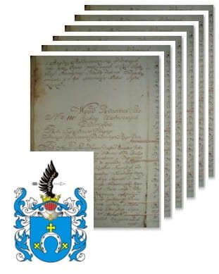 Przykładowe zdjęcie wywodu rodowitości szlacheckiej z 1802 roku, stron 6.jpg