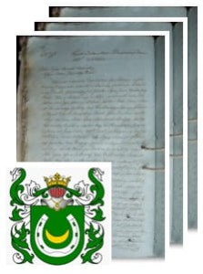 Kubicki herbu Domaradzki