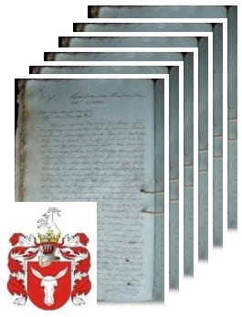 Przykładowe zdjęcie wywodu rodowitości szlacheckiej z 1808 roku, stron 6.jpg