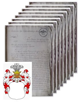 Przykładowe zdjęcie wywodu rodowitości szlacheckiej z 1828 roku, stron 8.jpg