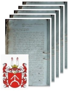 Drzewiecki herbu Ogończyk 