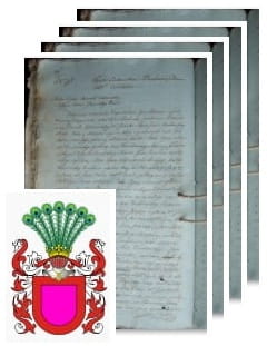 Przykładowe zdjęcie wywodu rodowitości szlacheckiej z 1804 roku, stron 4.jpg
