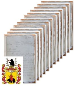 Dziewulski v. z Dziewul Markowicz Dziewulski herbu Rawicz