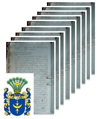 Przykładowe zdjęcie wywodu rodowitości szlacheckiej z 1815 roku, stron 9.jpg