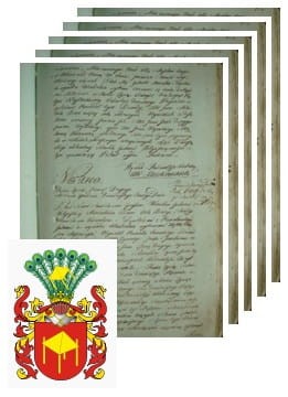 Przykładowe zdjęcie wywodu rodowitości szlacheckiej z 1802 roku, stron 5.jpg