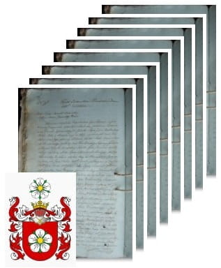 Przykładowe zdjęcie wywodu rodowitości szlacheckiej z 1805 roku, stron 8.jpg