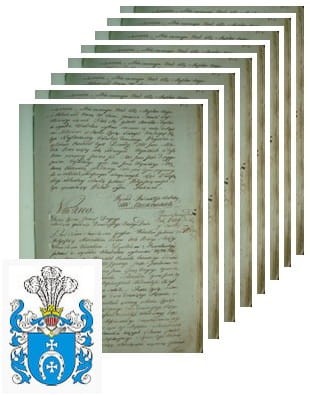 Przykładowe zdjęcie wywodu rodowitości szlacheckiej z 1802 roku, stron 8.jpg