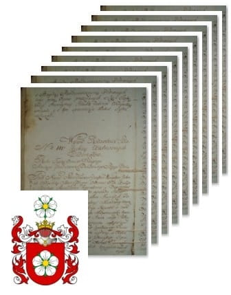 Przykładowe zdjęcie wywodu rodowitości szlacheckiej z 1802 roku, stron 9.jpg