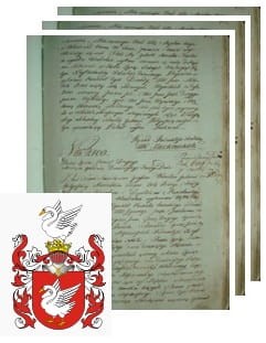 Przykładowe zdjęcie wywodu rodowitości szlacheckiej z 1802 roku, stron 3.jpg