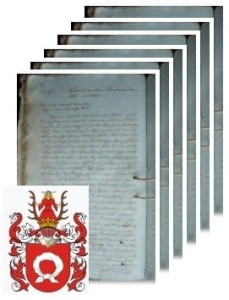 Drzewiecki herbu Nałęcz 