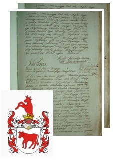Przykładowe zdjęcie wywodu rodowitości szlacheckiej z 1802 roku, stron 2.jpg