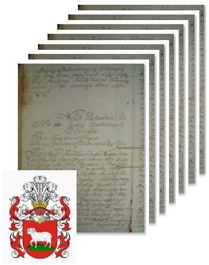 Przykładowe zdjęcie wywodu rodowitości szlacheckiej z 1802 roku, stron 7.jpg