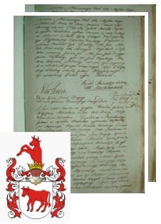 Przykładowe zdjęcie wywodu rodowitości szlacheckiej z 1802 roku, stron 2.jpg