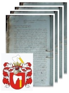 Czyżewski herbu Topór 