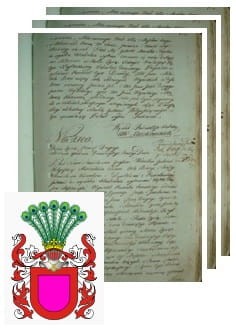 Przykładowe zdjęcie wywodu rodowitości szlacheckiej z 1802 roku, stron 3.jpg
