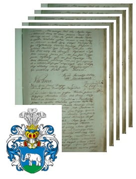 Przykładowe zdjęcie wywodu rodowitości szlacheckiej z 1802 roku, stron 5.jpg