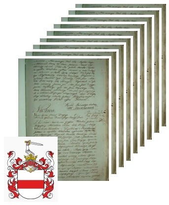 Przykładowe zdjęcie wywodu rodowitości szlacheckiej z 1802 roku, stron 13.jpg