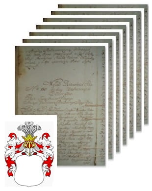 Przykładowe zdjęcie wywodu rodowitości szlacheckiej z 1802 roku, stron 7.jpg