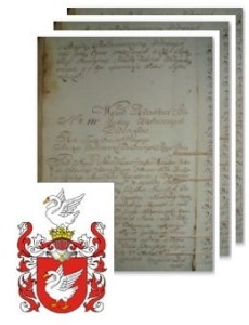 Brzeziński herbu Łabędź 