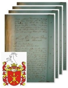 Strumieński v. Kaszuba Strumieński herbu Jelita 