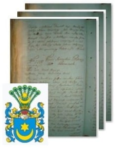 Stawiński herbu Leliwa