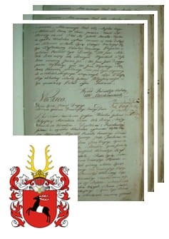 Przykładowe zdjęcie wywodu rodowitości szlacheckiej z 1802 roku, stron 3.jpg