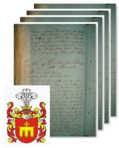 Pietruszewski herbu Radwan 