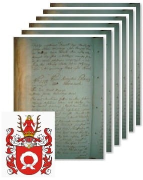 Przykładowe zdjęcie wywodu rodowitości szlacheckiej z 1802 roku, stron 6.jpg