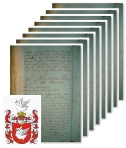 Żuchowski v. Dunin Żuchowski herbu Łabędź 