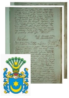 Przykładowe zdjęcie wywodu rodowitości szlacheckiej z 1802 roku, stron 2.jpg
