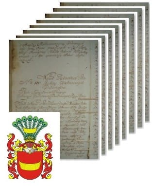 Przykładowe zdjęcie wywodu rodowitości szlacheckiej z 1802 roku, stron 8.jpg
