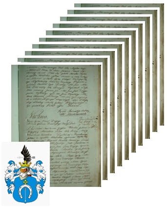 Przykładowe zdjęcie wywodu rodowitości szlacheckiej z 1802 roku, stron 10.jpg