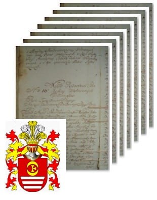 Przykładowe zdjęcie wywodu rodowitości szlacheckiej z 1802 roku, stron 7.jpg