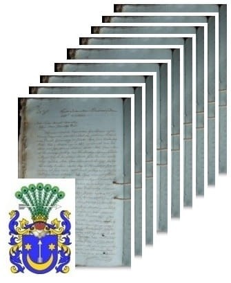 Przykładowe zdjęcie wywodu rodowitości szlacheckiej z 1805 roku, stron 9.jpg
